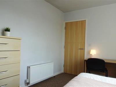 Picture 13